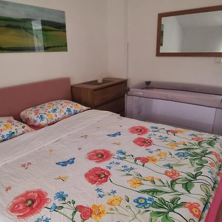 Apartmani Bilic Korenica Buitenkant foto